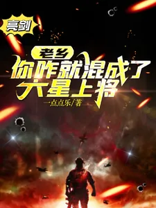 《老乡，你咋就混成了六星上将》小说封面
