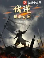 《伐逆，谋断九州》小说封面