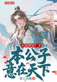 《小富即安？不，本公子意在天下》小说封面