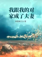 《我跟我的对家成了夫妻》小说封面