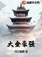 《大金豪强》小说封面
