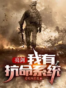 《亮剑：我有抗命系统》小说封面