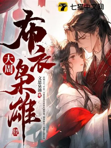 《大周布衣枭雄》小说封面