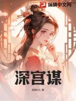 《深宫谋》小说封面