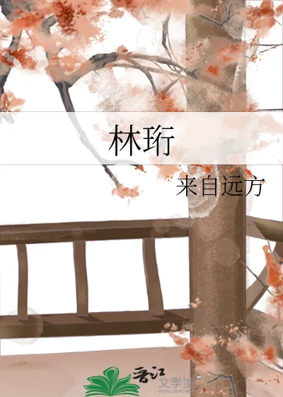《林珩》小说封面