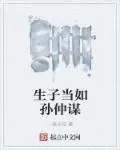 《生子当如孙仲谋》小说封面