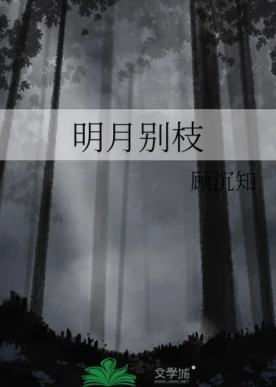 《明月别枝》小说封面