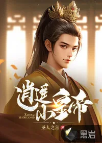 《逍遥小皇帝》小说封面
