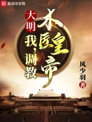 《大明：我，调教木匠皇帝》小说封面