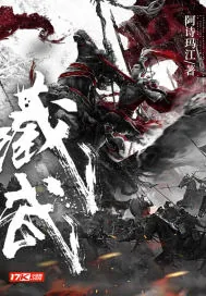 《藏武》小说封面