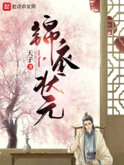 《锦衣状元》小说封面