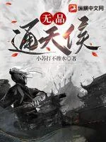 《无品通天侯》小说封面