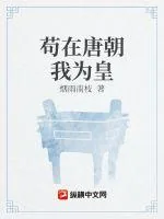 《谋唐》小说封面