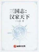 《三国志：汉家天下》小说封面