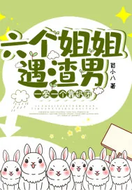 《六个姐姐遇渣男,一拳一个靠奶团》小说封面