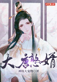 《大唐憨婿》小说封面