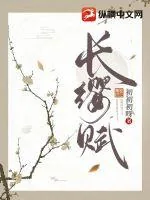 《长缨赋》小说封面