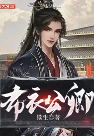 《布衣公卿》小说封面