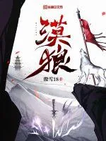 《漠狼》小说封面