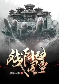 《残阳起风雷》小说封面