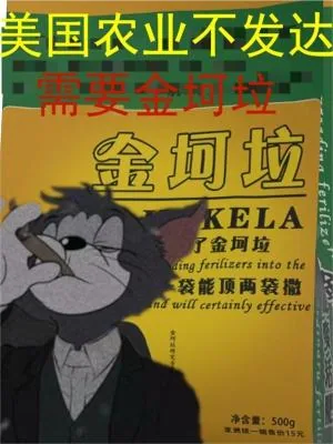 《美国农业不发达，需要金坷垃》小说封面