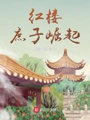 《红楼：庶子崛起》小说封面