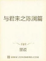 《与君来之陈澜篇》小说封面
