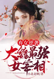 《弃女逆袭：大魏最强女宰相》小说封面