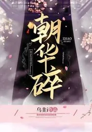 《朝华碎》小说封面
