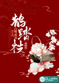 《鹊踏枝》小说封面