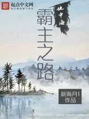 《地中海霸主之路》小说封面