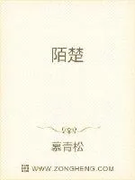 《陌楚》小说封面
