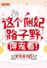 《这个侧妃路子野，得宠着！》小说封面