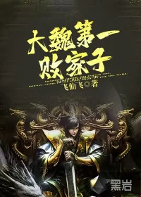 《大魏第一败家子》小说封面