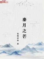 《秦月之芒》小说封面
