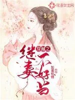 《穿越之继妻不好当》小说封面
