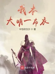 《我本大明一布衣》小说封面