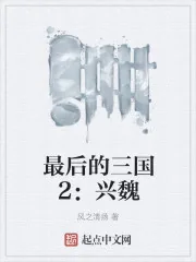 《最后的三国2：兴魏》小说封面