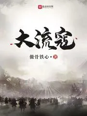 《大流寇》小说封面