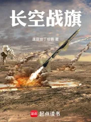 《长空战旗》小说封面
