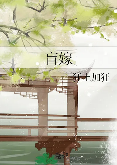 《盲嫁》小说封面
