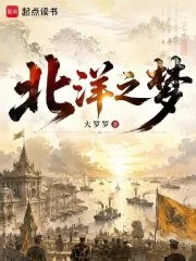 《北洋之梦》小说封面
