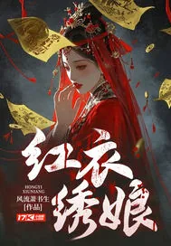 《红衣绣娘》小说封面