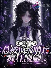 《柔弱向导，总被顶级哨兵疯狂觊觎》小说封面