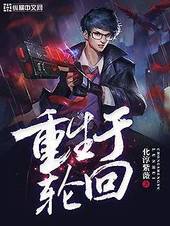 《重生于轮回》小说封面