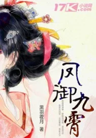 《凤御九霄》小说封面