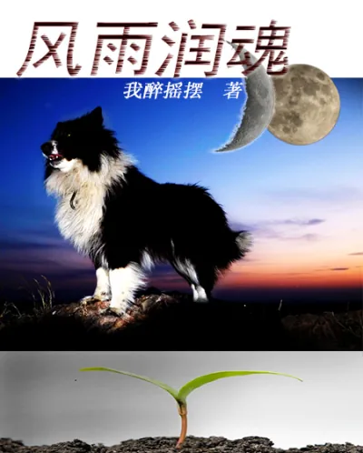 《风雨润魂之我靠进化打败你》小说封面