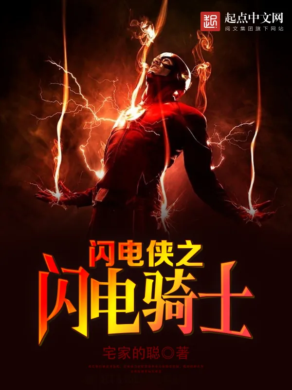 《闪电侠之闪电骑士》小说封面