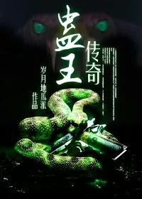 《蛊王传奇》小说封面