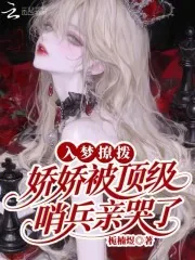 《入梦撩拨：娇娇被顶级哨兵亲哭了》小说封面